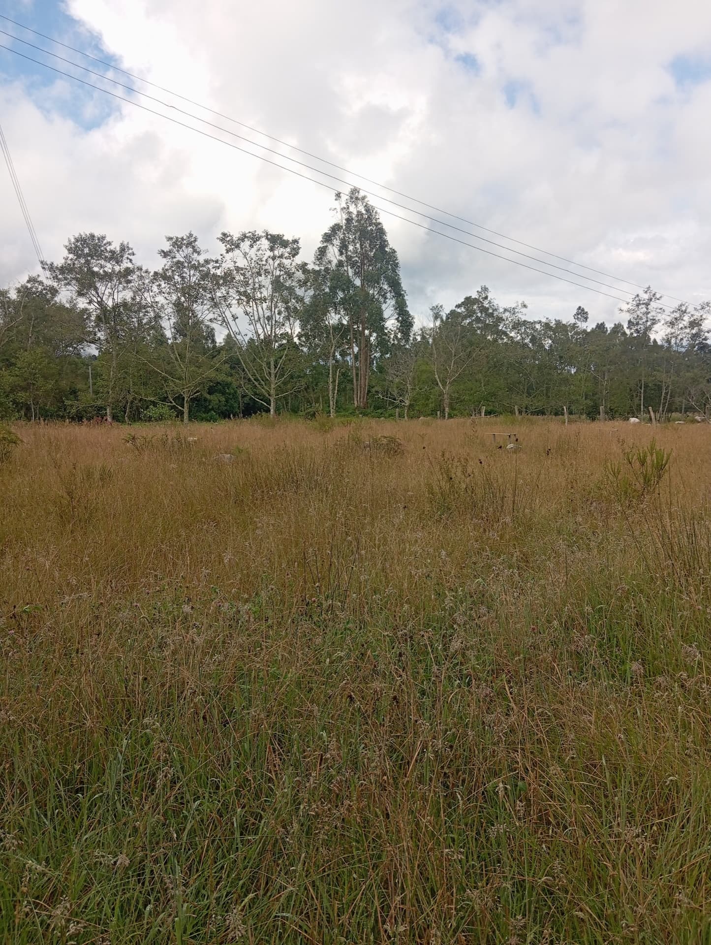 Lote rural en Capilla 2 — 19.200 m²