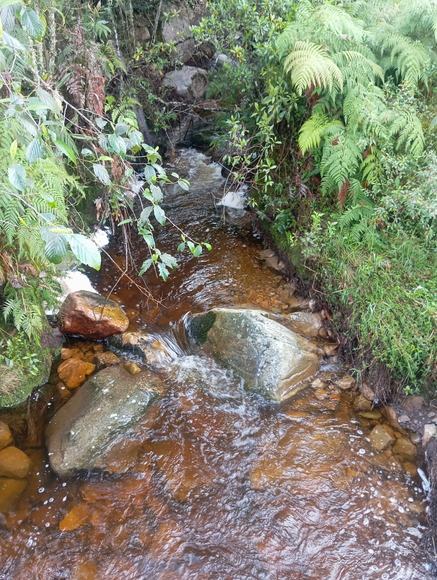 Lote rural en Capilla 2 — 19.200 m² — foto 4