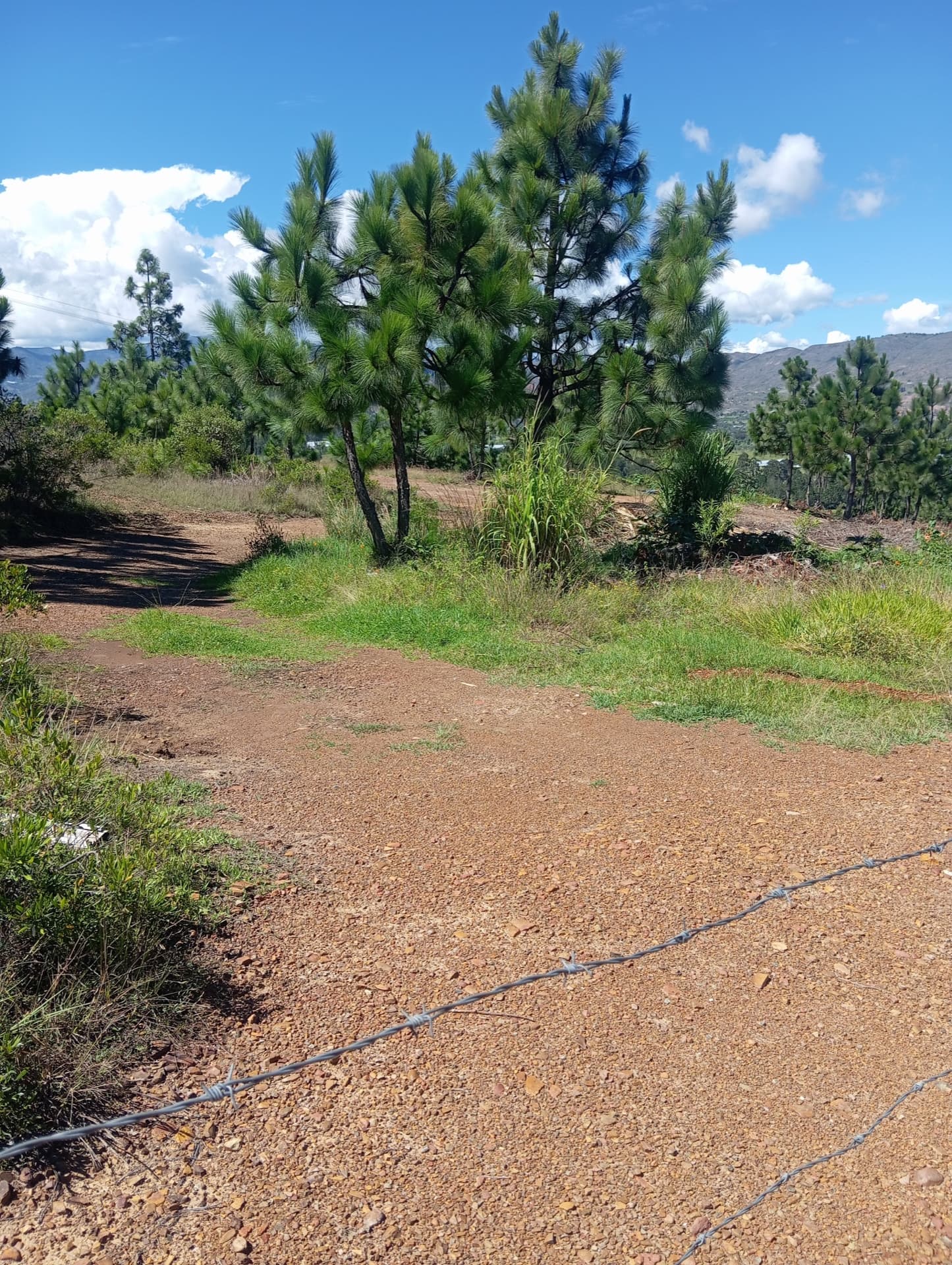 Lote rural en Vereda Sopotá 2.5 km vía Pozos Azules — 5.800 m²